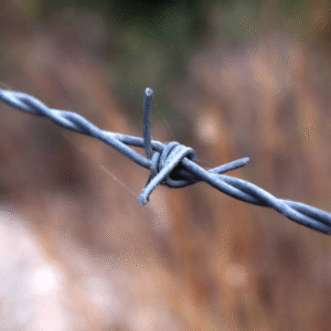 Barbed Wire Fencing