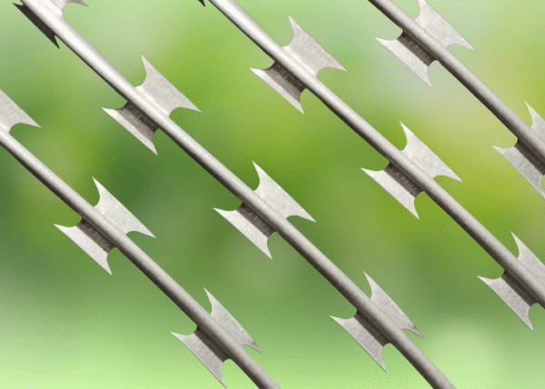 Razor Wire Fence